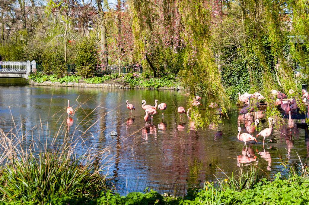 Hotel Park Plantage Amsterdam Esterno foto
